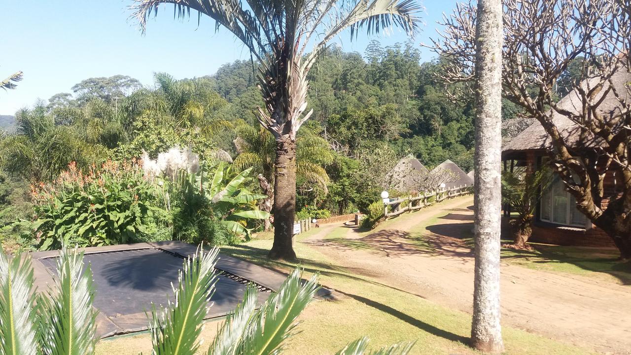 Lodge Magoebaskloof Mountain
