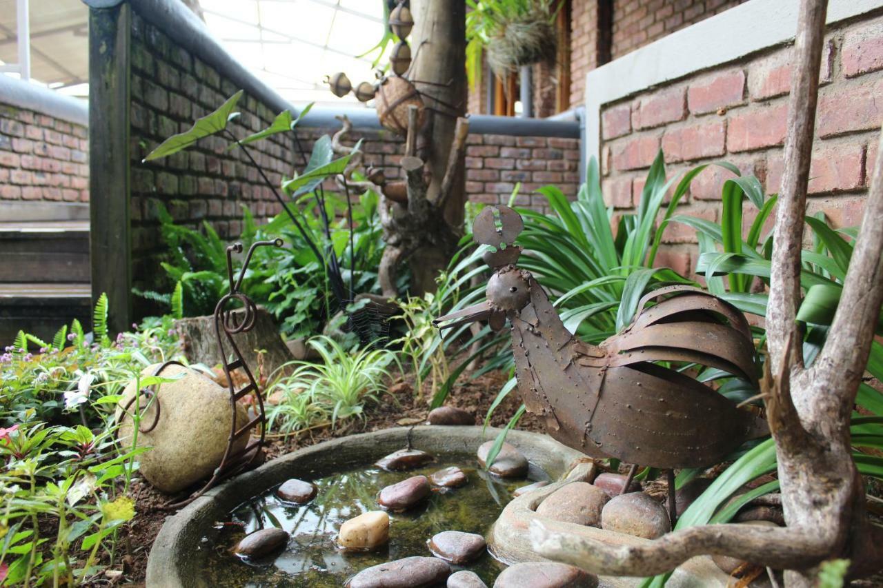 Lodge Magoebaskloof Mountain Tzaneen